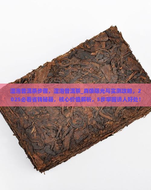 湿泡普洱茶步骤