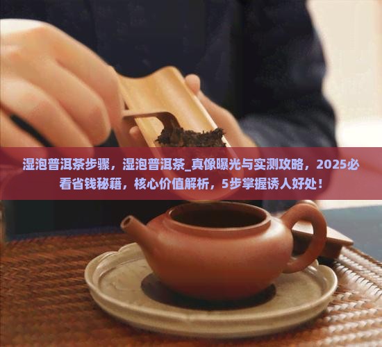 湿泡普洱茶步骤
