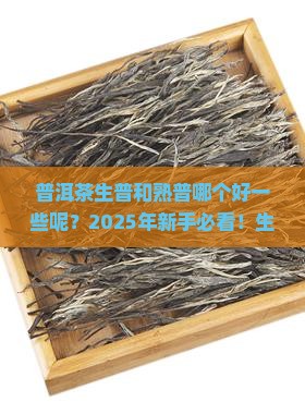 普洱茶生普和熟普哪个好一些呢