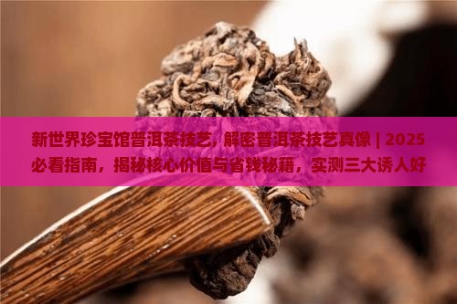 新世界珍宝馆普洱茶技艺