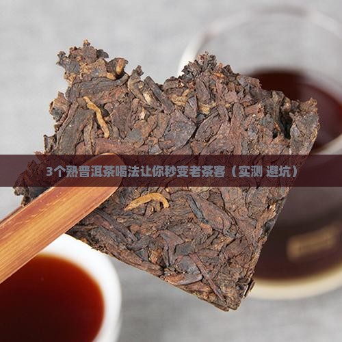 熟普洱茶哪个好喝