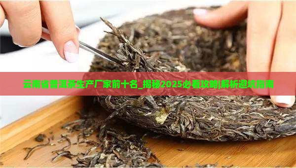 云南省普洱茶生产厂家前十名