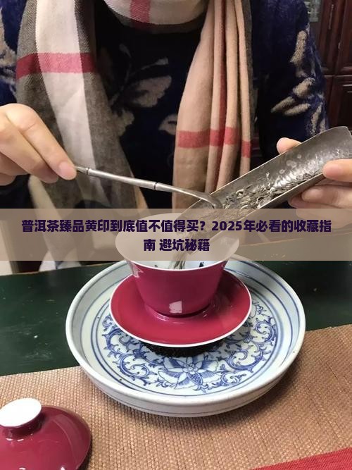普洱茶臻品黄印