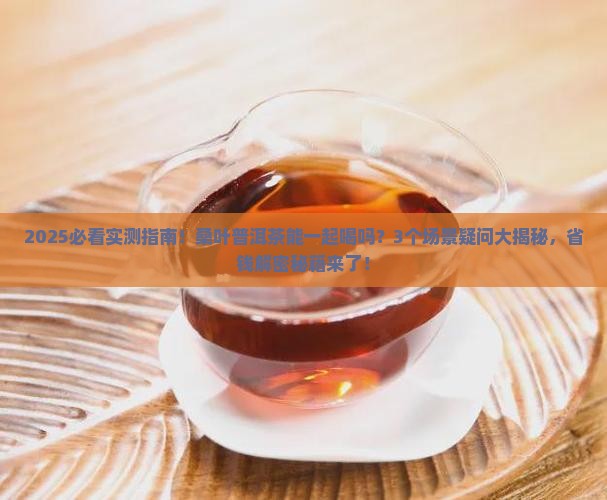 桑叶普洱茶能一起喝吗