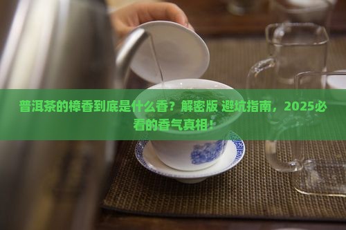 普洱茶的樟香是什么香