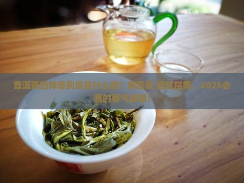 普洱茶的樟香是什么香