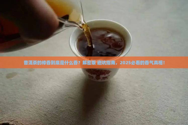 普洱茶的樟香是什么香