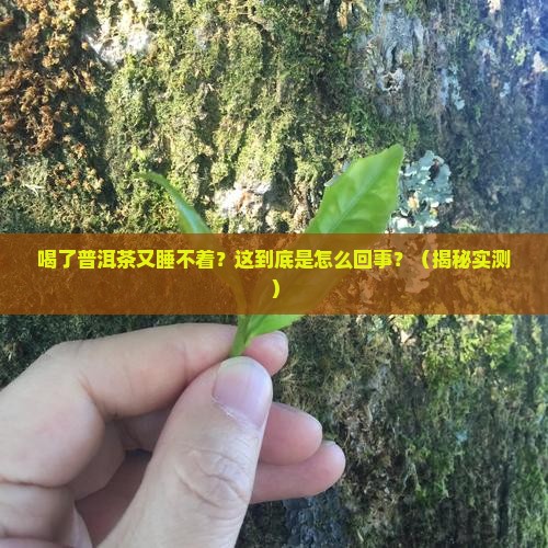 喝了普洱茶又睡不着什么原因