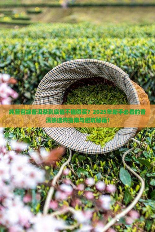 纯普茗缘普洱茶