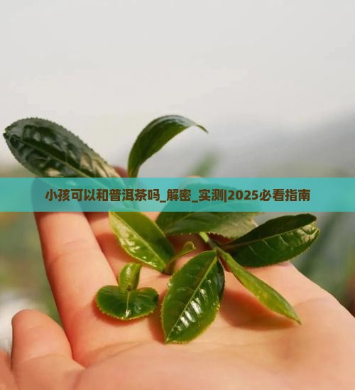 小孩可以和普洱茶吗