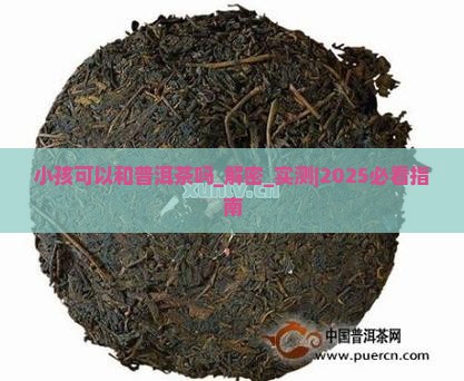 小孩可以和普洱茶吗