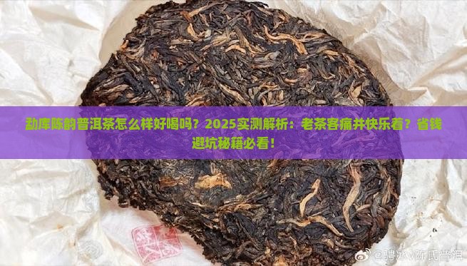 勐库陈韵普洱茶怎么样好喝吗