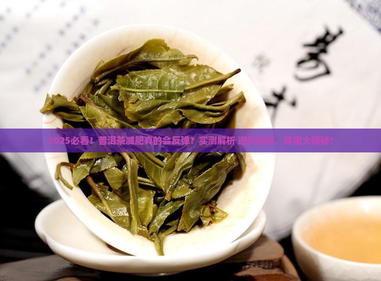 普洱茶减肥反弹吗