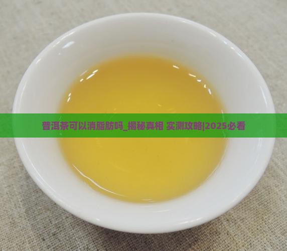 普洱茶可以消脂肪吗