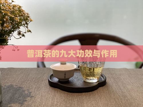 普洱茶的九大功效与作用