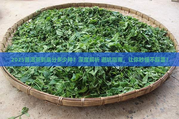 普洱茶分多少种茶