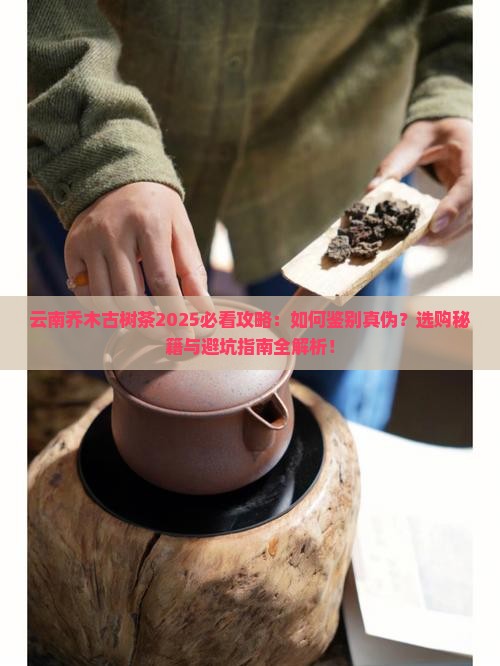 云南乔木古树茶 云南乔木古树茶