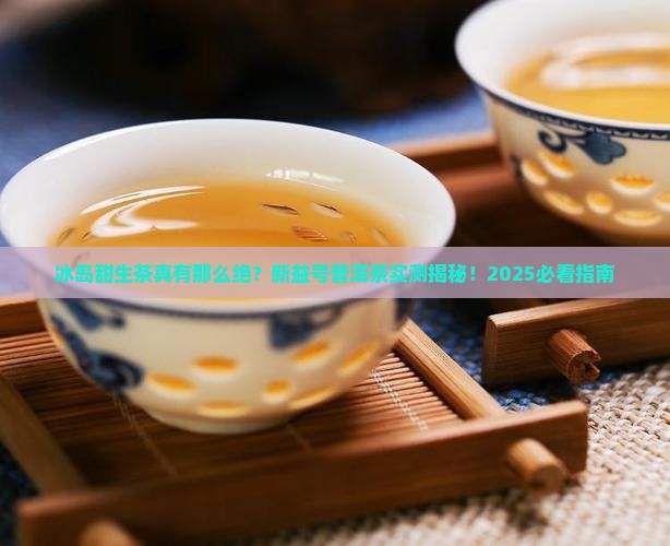 新益号普洱茶怎么样冰岛甜生茶