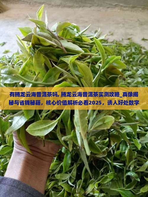 有腾龙云海普洱茶吗