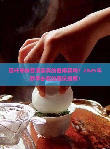 高杆单株普洱茶