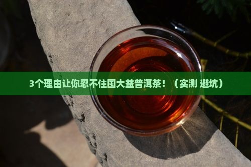 值得屯的大益普洱茶