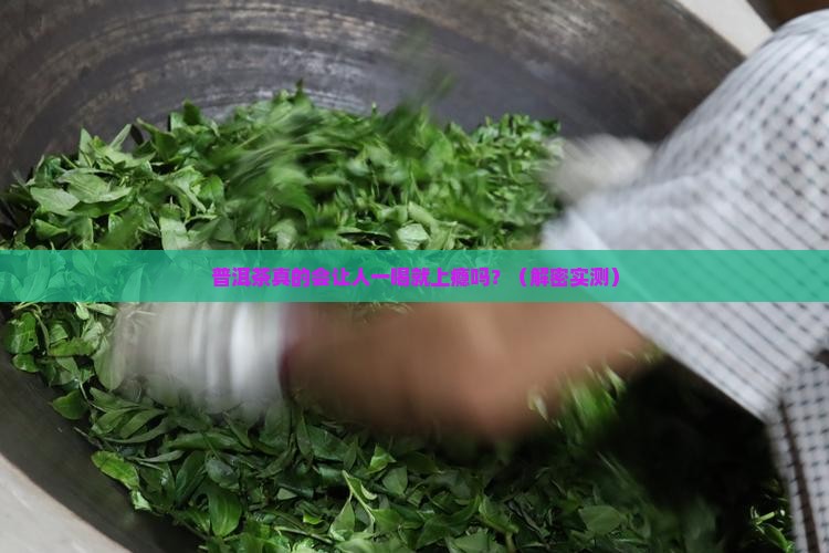 普洱茶是不是一喝就喜欢喝