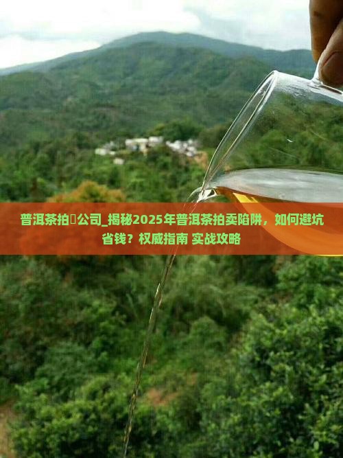 普洱茶拍賣公司