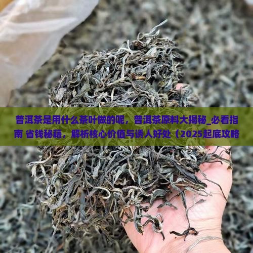 普洱茶是用什么茶叶做的呢