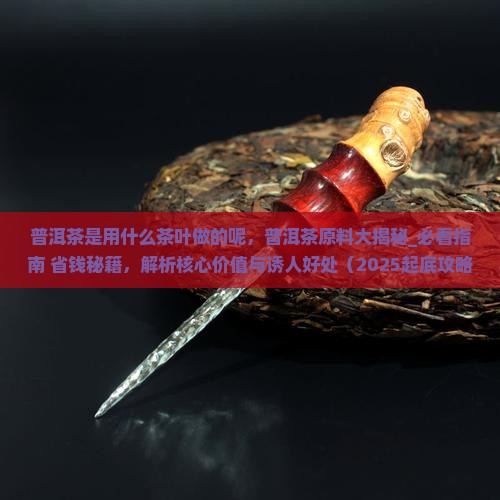 普洱茶是用什么茶叶做的呢