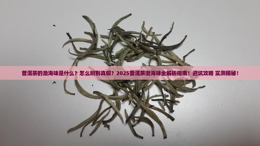 普洱茶的渤海味