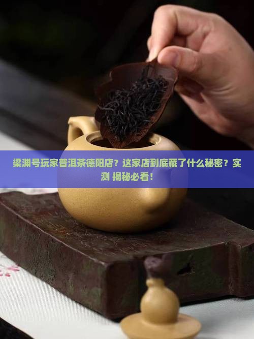 梁渊号玩家普洱茶德阳店