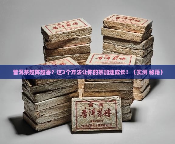 如何加快普洱茶存放时间