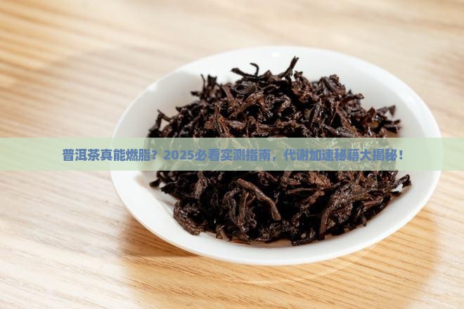 喝普洱茶加强代谢吗