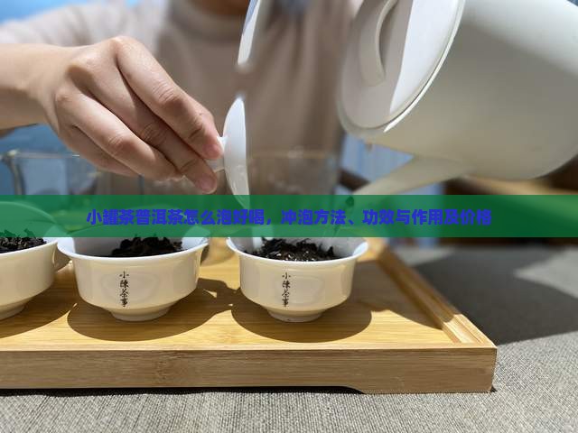 小罐茶普洱茶怎么泡