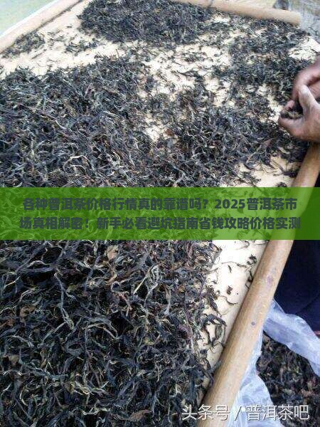 各种普洱茶价格行情