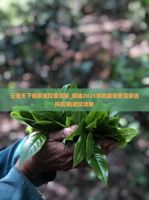 云普天下傣家皇印普洱茶