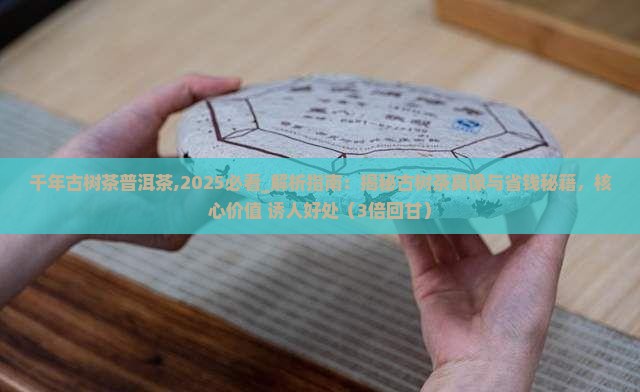 千年古树茶普洱茶