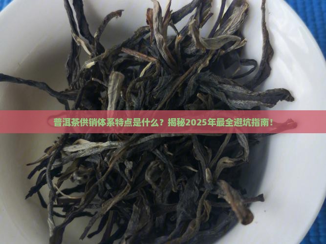 普洱茶供销体系特点是啥