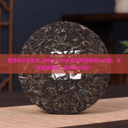 普洱茶三年茶底