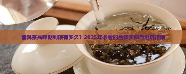 普洱茶高峰期多久