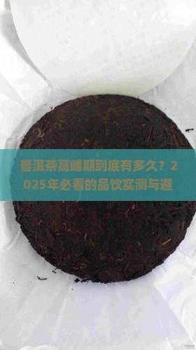普洱茶高峰期多久