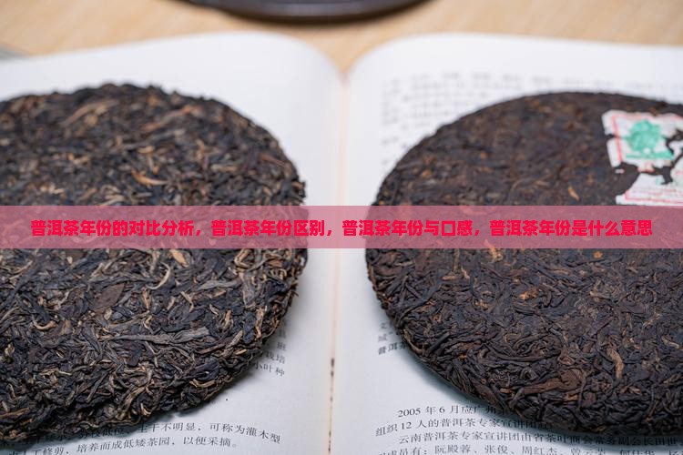 普洱茶年份的对比