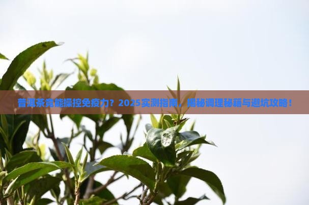 普洱茶能抑制免疫力紊乱吗
