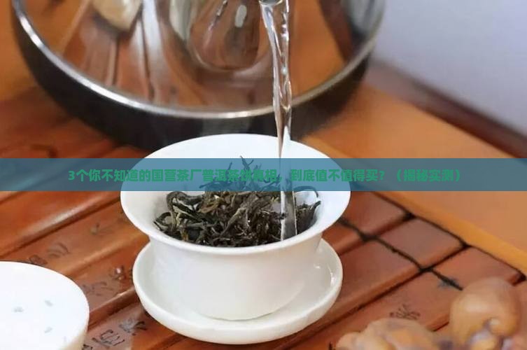 国营茶厂普洱茶饼
