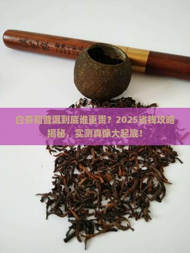 白茶和普洱哪个更贵