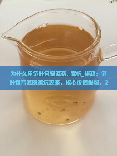 为什么用笋叶包普洱茶