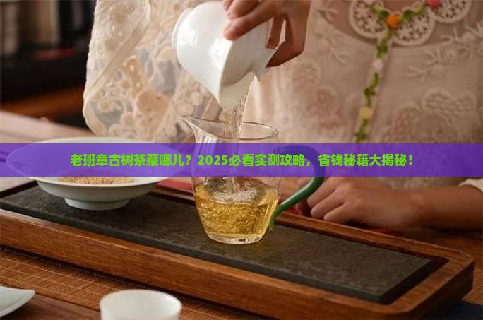 老班章古树茶哪里有