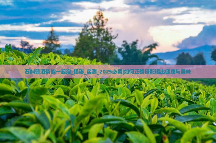 石斛普洱茶能一起泡