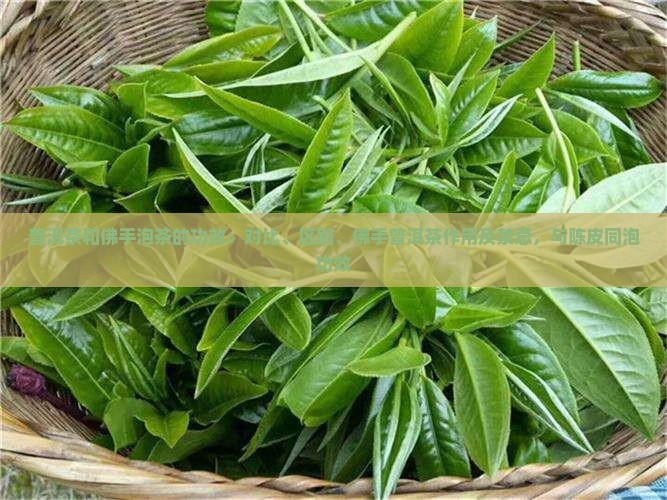 普洱茶和佛手泡茶的功效