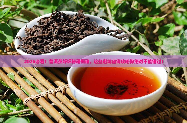 普洱茶好坏误区